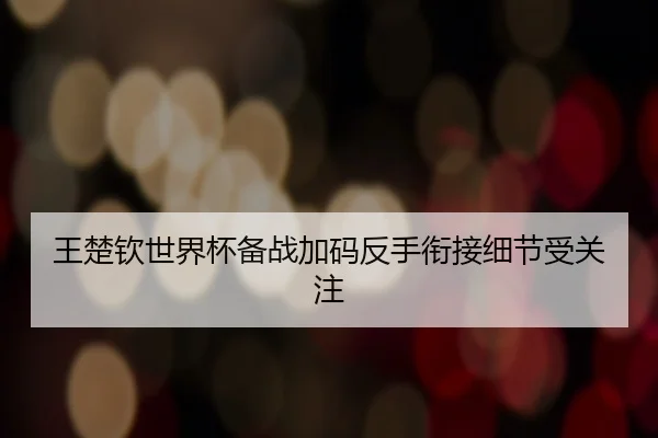 王楚钦世界杯备战加码反手衔接细节受关注