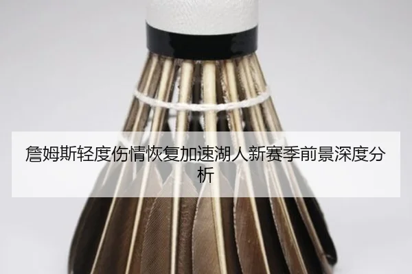 詹姆斯轻度伤情恢复加速湖人新赛季前景深度分析